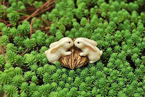 Image of Top Collection Enchanted Story Garden Rabbits Kissing on Walnut Outdoor Decor