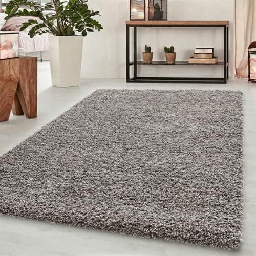 Image of Abaseen Small Large Shaggy Rug Modern Rugs Living Room Extra Large Small Medium Rectangular Size Soft Touch Thick Pile Living Room Area Rugs Non Shedding (Silver, 120x170 cm)