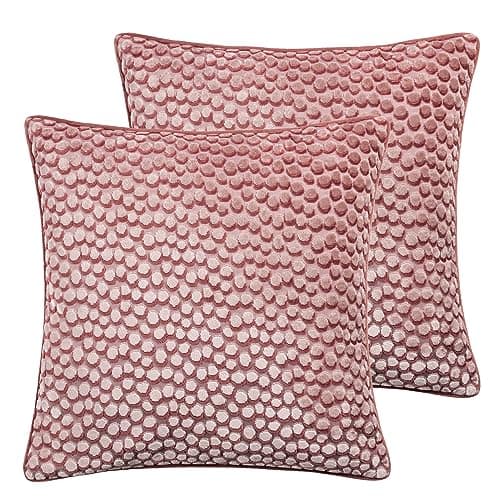 Image of furn. Hoem Lanzo Polyester Filled Cushions Twin Pack