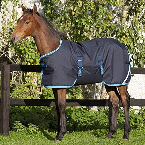 Image of Horseware Outdoor horse blanket Amigo Foal Rug