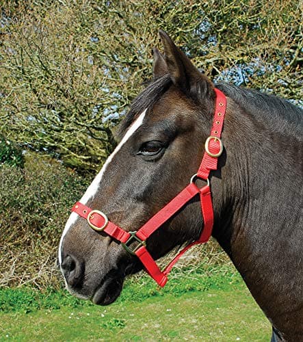 Image of Rhinegold Nylon Headcollar - Full - Red