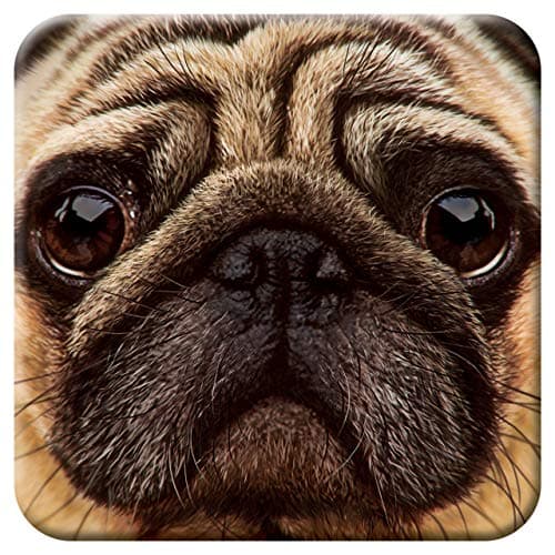 Image of 3D LiveLife Cork Coaster - Pug from Deluxebase. Lenticular Dog Drink Coasters. Funny Gifts for Women and Men. Cute Novelty Kitchen Gift Ideas and Decorative Home Accessories