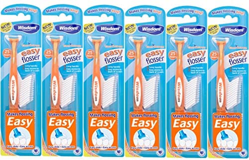 Image of Wisdom Toothbrushes Easy Daily Flosser Inc Refills, 25-Piece, Pack of 6