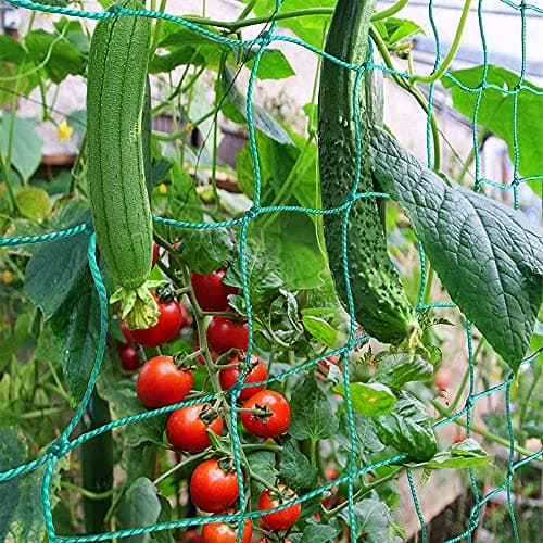 Image of PDGROW Climbing Plant Support Net Garden Pea Bean Netting, PE Trellis Mesh for Climbing Plants, Vegetables, Fruits, Sweet Pea Plants - 2 m x 2.5 m