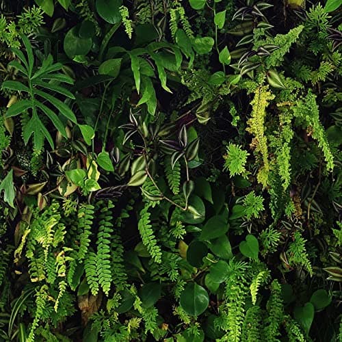Image of World of Wallpaper Kew Living Wall Wallpaper Green/Black Leaf Plants Tropical Foilage - Feature Wall Paper for Living Room Bedroom Hallway Lounge 66119