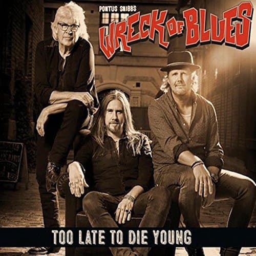 Image of Too Late To Die Young [VINYL]