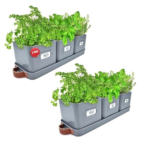 Image of Green Thumbz Herb Pots for Kitchen Windowsill - 2 Pack Charcoal Grey Herb Planter Indoor with Leather Handled Tray - Ideal for an Indoor Herb Garden, Plants and Flowers - Labels Included