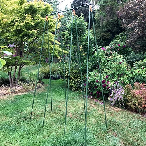 Image of Bean Buddy Runner Bean Frame | Heavy Duty Plant Support Cage for Climbing Crops - 1.2m x 0.75m x 2.4m high