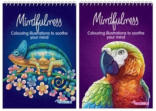 Image of BG (2801) Mindfulness Adult Spiral-Bound A5 Size Colouring Books - Pack of 2
