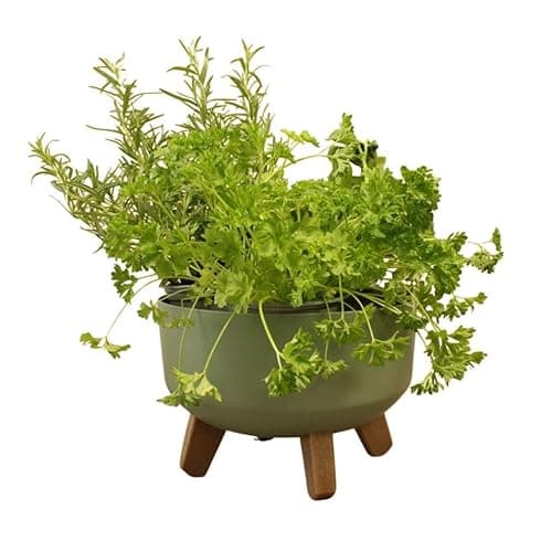 Image of Gardening Naturally Indoor Plant Pot Zinnia Stylish and Durable Planter for Houseplants (Low Pot 24cm - Green)