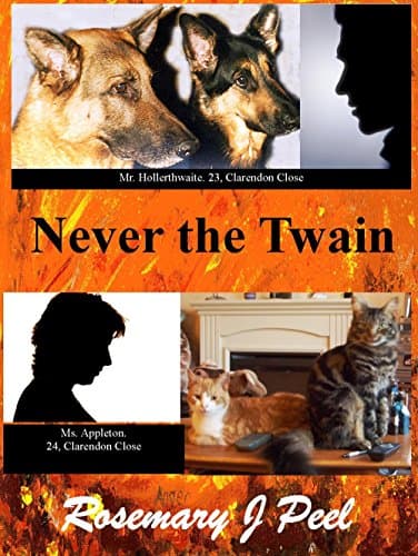 Image of Never the Twain