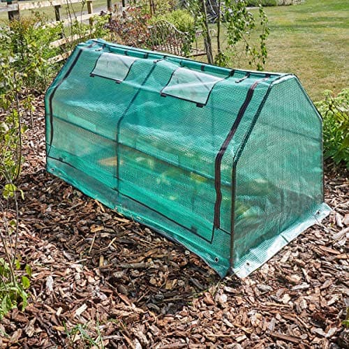 Image of Smart Garden GroZone Max Cloche