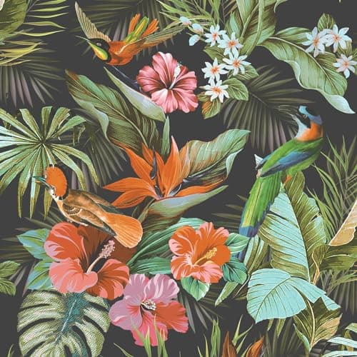 Image of Rasch Vasari Paradise Birds Black Wallpaper 539059