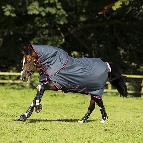 Image of Horseware Amigo Bravo 12 Plus Medium Turnout Rug 5-6" Navy/Red & Blue