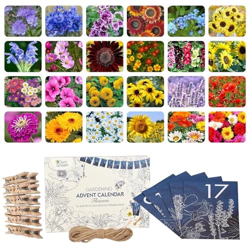 Image of OwnGrown Flower Seeds Advent Calendar for 2025-24 Varieties of Wild Flower Plant Seeds DIY Kit - Garden Gift Decorations - Housewarming Gardening Gifts for Men and Women - Wildflower Organic Seeds