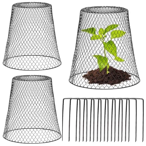 Image of IME Plant Protector Cover Chicken Wire Cloche 3PCS Metal Plants Cage Protector Baskets Garden Protection Covers with 10PCS Garden Stakes from Rabbits Bird Chicken Squirrels Other Small Animals