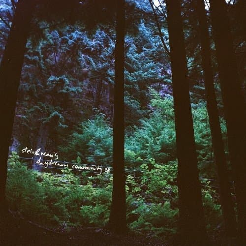 Image of Stein & Mari's Daydream Community (180g Vinyl) [VINYL]