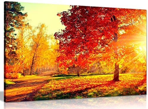 Image of Autumn Scene Trees and Leaves in Sun Light Canvas Wall Art Picture Print (12x8in)