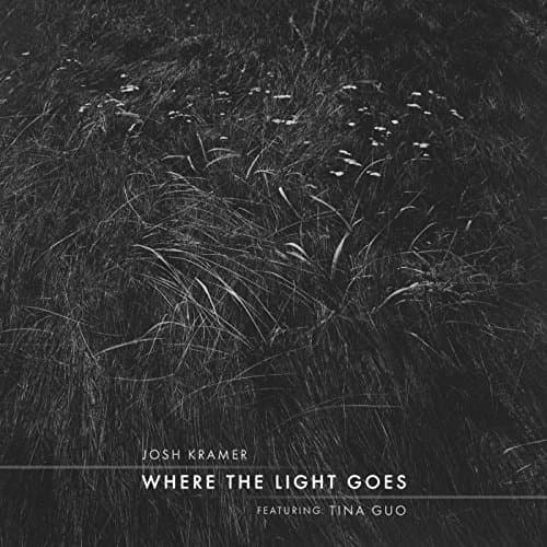Image of Where the Light Goes