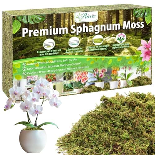 Image of Premium 100g Sphagnum Moss for Plants – 4L Natural Moss for Orchids, Soft Green Decorative Moss for Succulents, Reptiles & DIY Crafts
