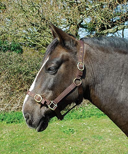 Image of Rhinegold Nylon Headcollar - Cob - Brown