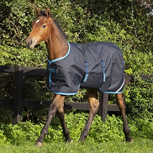 Image of Amigo Foal Rug 50g Ripstop Turnout Rug - Navy Electric Blue Navy 3ft