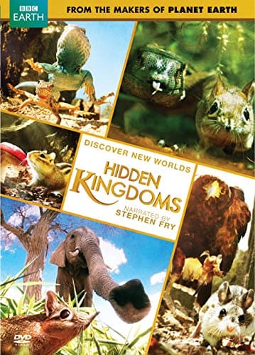 Image of Hidden Kingdom [DVD] [Region 1] [US Import] [NTSC]