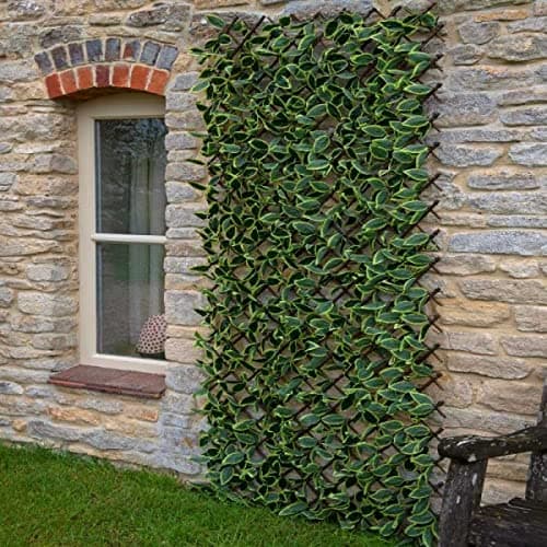 Image of Expanding Trellis Artificial Green HOSTA Leaf Fence Screening 60cm x 180cm