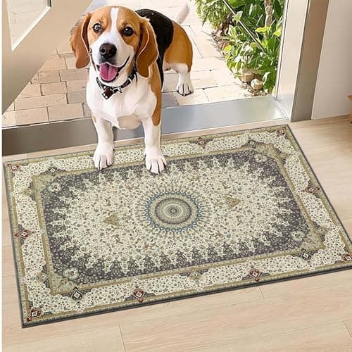 Image of Hafaa Door mat 40x60 cm - Indoor & Outdoor Doormats Machine Washable Non Slip - Super Soft Heavy Duty Kitchen Floor Mat Dirt Trapper Entrance Mat, Willow Grey