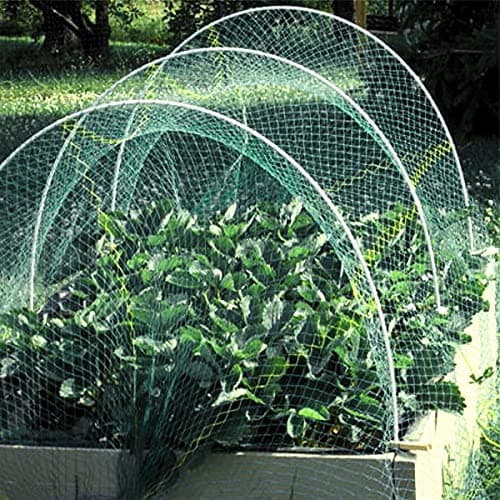 Image of Garden Mile Heavy Duty Green Garden Netting For Veg Patch Fine Mesh 10m X 2m Garden Mesh Netting Pest Protection For Ponds And Plants Bird Deterrent For Fruit Trees Allotment Protection Outdoor