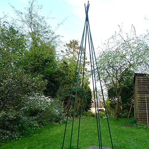 Image of GardenSkill Pea and Runner Bean Wigwam Teepee - Garden Support Frame Kit for Vegetables, Legumes, Flowers and Climbing Plants