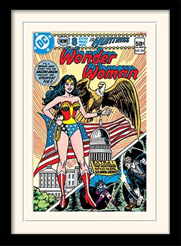 Image of DC Comics Wonder Woman 30 X 40 cm "Eagle" Mounted And Framed Print