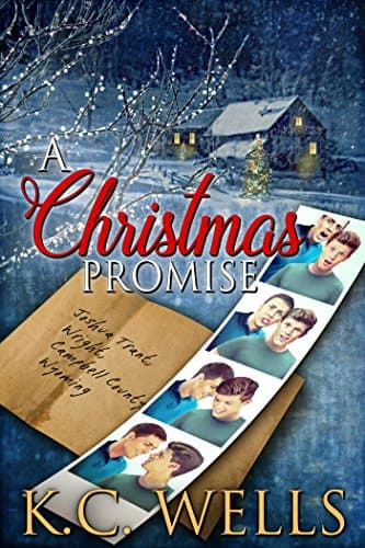 Image of A Christmas Promise
