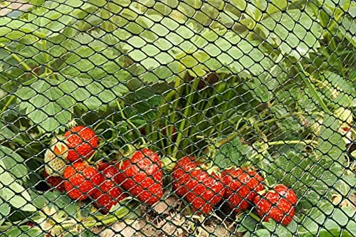 Image of Smart Garden Multi-Mesh – Green 15mm – 1m x 5m
