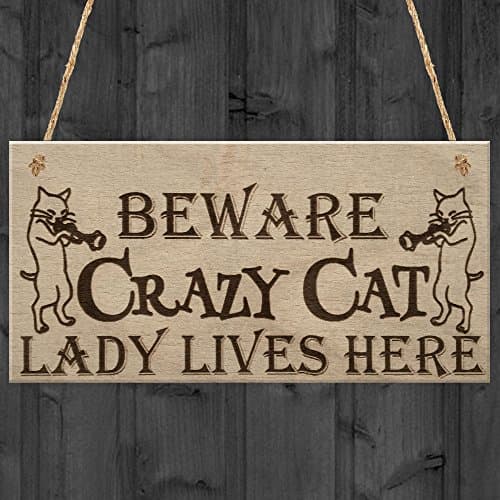 Image of Red Ocean Crazy Cat Lady Kitten Cute Funny Gift Idea Animal Lover Hanging Plaque Home Door Sign