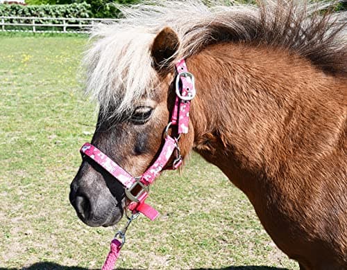 Image of Rhinegold Unicorn Headcollar and Rope Set - Pony - Raspberry