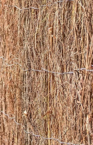 Image of Primrose Papillon Brushwood Heather Thatch Natural Garden Screening Roll Wind & Sun Protection 4m x 1m (13ft 1in x 3ft 3in)