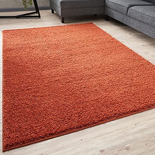 Image of THE RUGS Living Room Rug - Shaggy Soft And Elegant Carpets For The Bedrooms And Kitchen, Easy To Clean, Many Different Sizes (80x150 cm, Terra)
