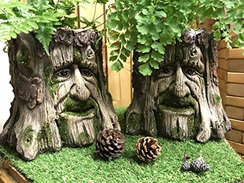 Image of giftwarez Mans Face Tree Trunk Stump Herb Flower Planter Garden Plant Box Bucket Pot Tub