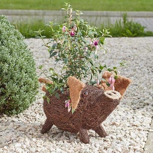 Image of Smart Solar Rustic Rattan Pig Garden Planter, Pre-Lined Decorative Plant Holder, 28 x 44 x 30 cm