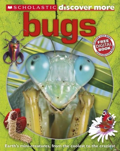 Image of Bugs (Discover More)