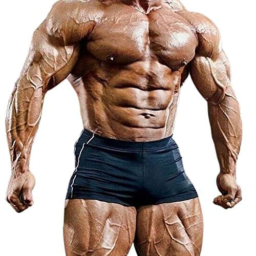 Image of Muscle Alive Mens Gym Tight Bodybuilding Workout Shorts Fitness Sports Polyester and Lycra PLN Black M