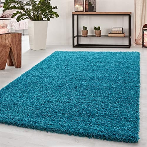 Image of Abaseen Small Large Shaggy Rug Modern Rugs Living Room Extra Large Small Medium Rectangular Size Soft Touch Thick Pile Living Room Area Rugs Non Shedding (Teal Blue, 60x110 cm)