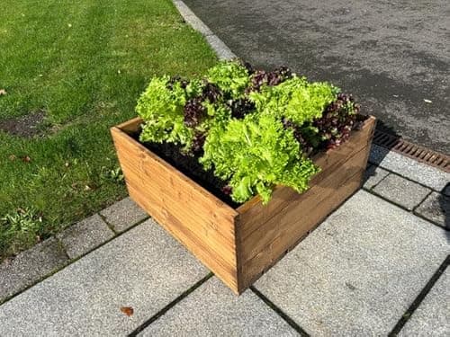 Image of Charles Taylor Country Kitchen Extra Large Jumbo Open Planter