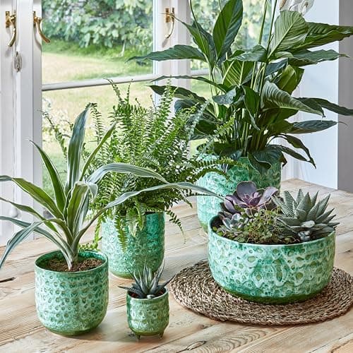 Image of Ivyline Textured Glaze Plant Pot 18cm Dia | Contemporary Glazed Plant Pot with Textured Crackle Design| Indoor Planter Plant Pot Flower Pot for Cacti Succulents and Small House Plants (Emerald)