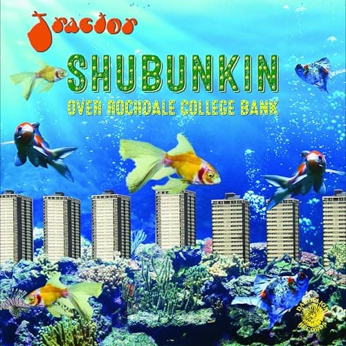 Image of Shubunkin Over Rochdale College Bank [VINYL]