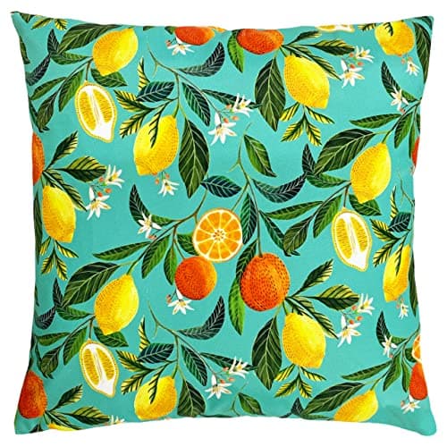 Image of Evans Lichfield Orange Blossom Outdoor Polyester Filled Cushion, Polyester, Multi,43 x 43cm