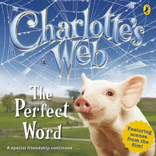Image of The Perfect Word (Charlotte's Web) by Cathy Hapka (2007-01-04)