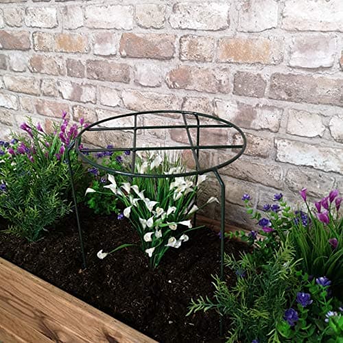 Image of Samuel ALEXANDER Urban Dark Green Metal Herbaceous Garden Plant Support Grow Through Medium 50cm x 30cm