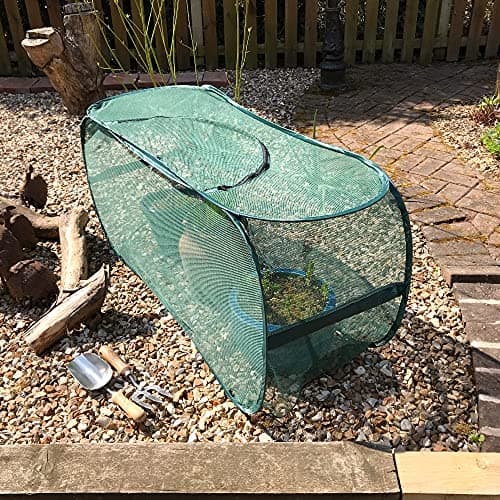 Image of GardenSkill Pop Up Fruit Cage Garden Tunnel | Butterfly Mesh Insect Net Plant Protection Cover for Planter Grow Bag Pot Raised Bed | Mini Greenhouse Cloche for Strawberry Tomato Flower
